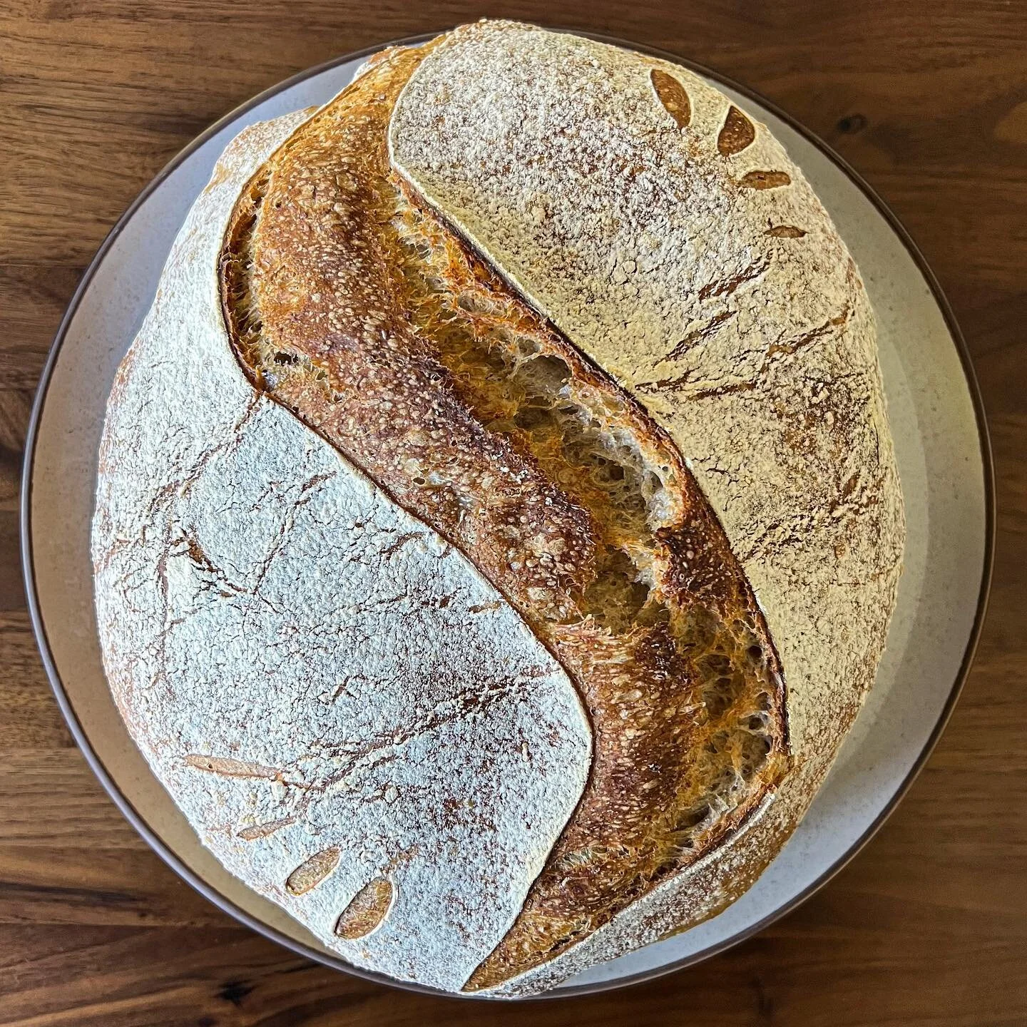From the kitchen, photograph 2