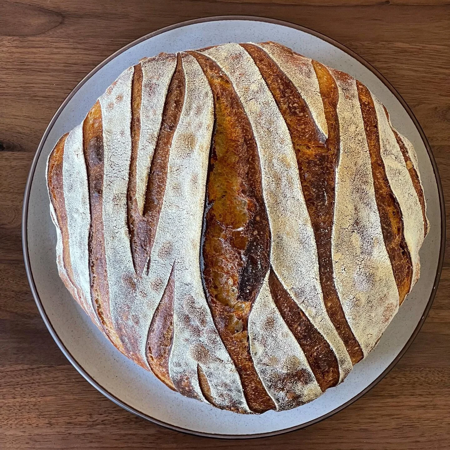 From the kitchen, photograph 9