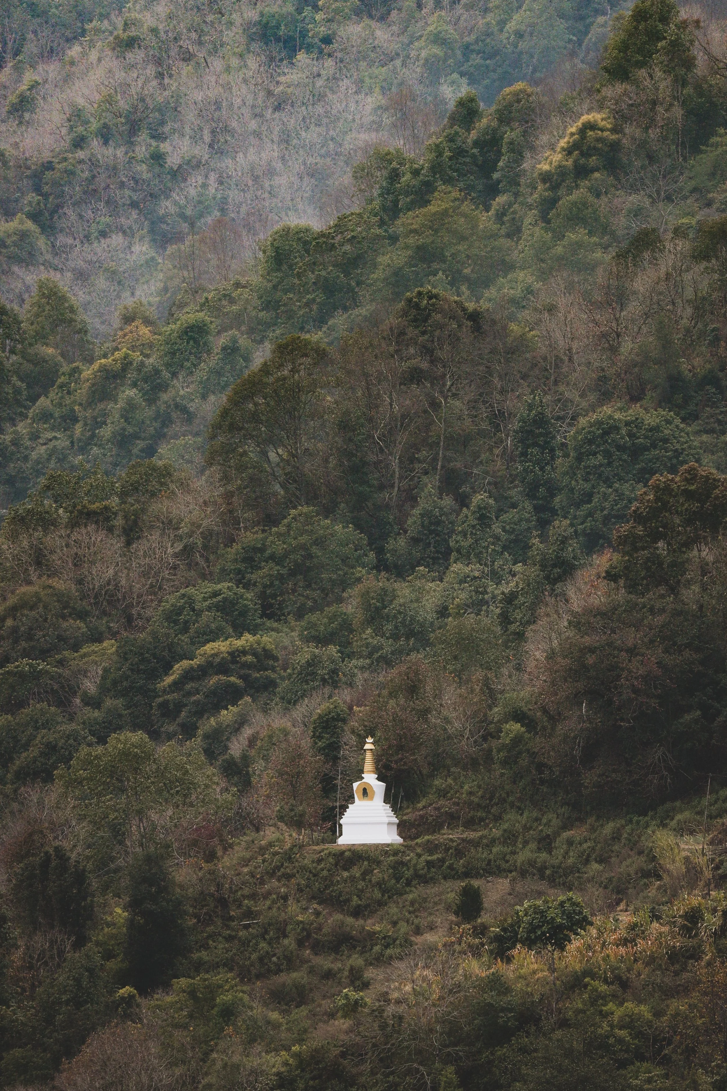 Bhutan, photograph 6