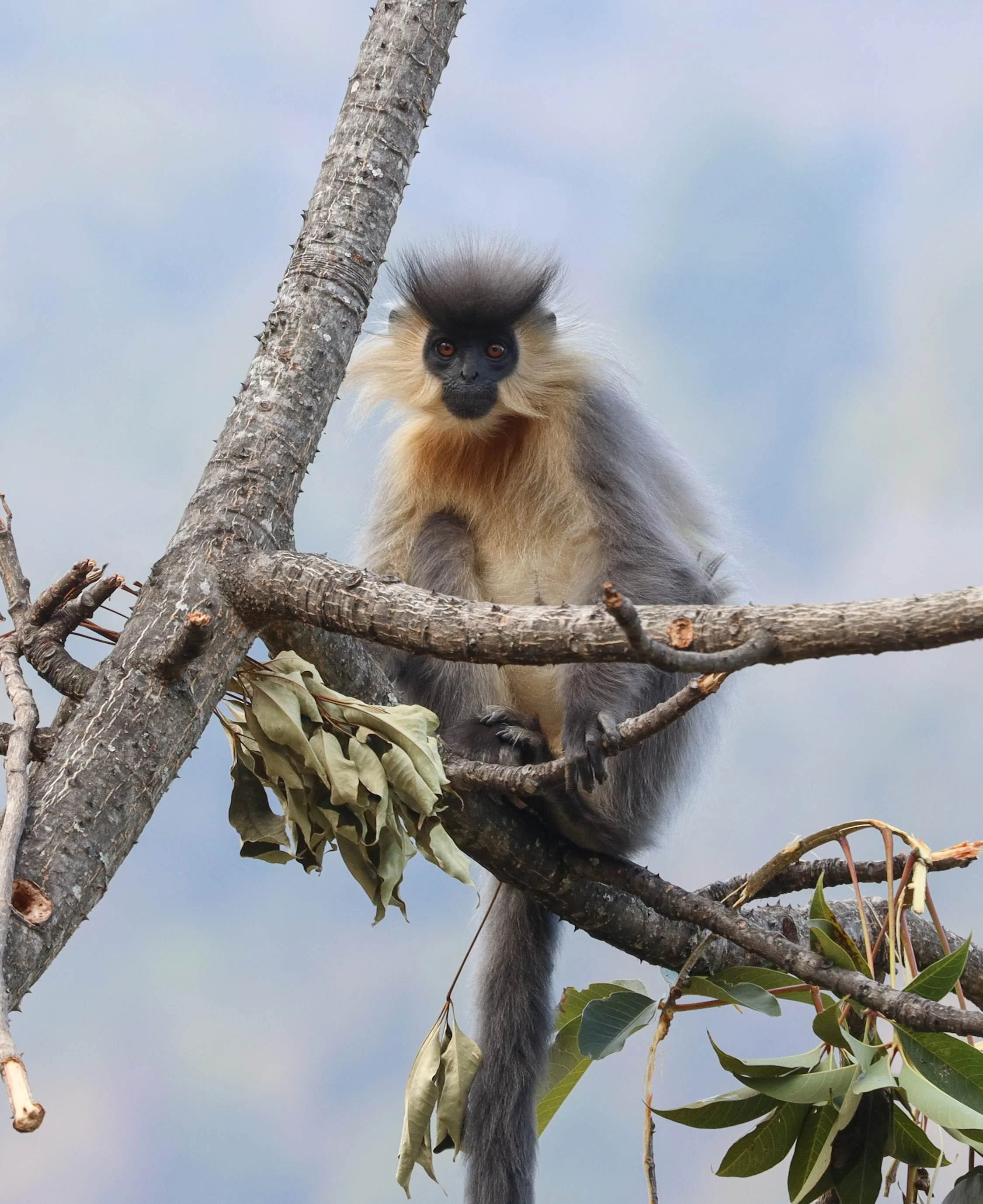 Bhutan, photograph 10