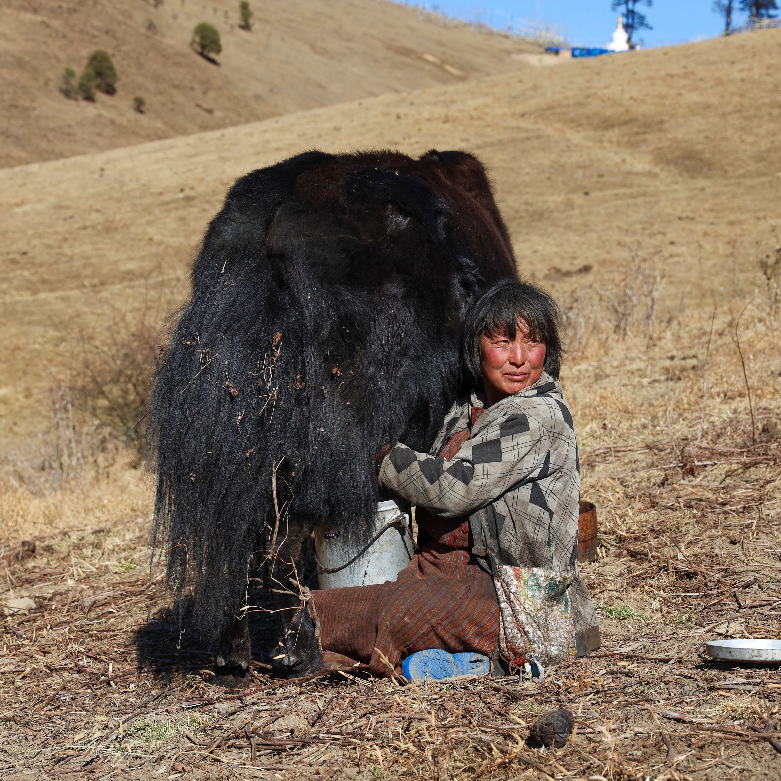 Bhutan, photograph 11