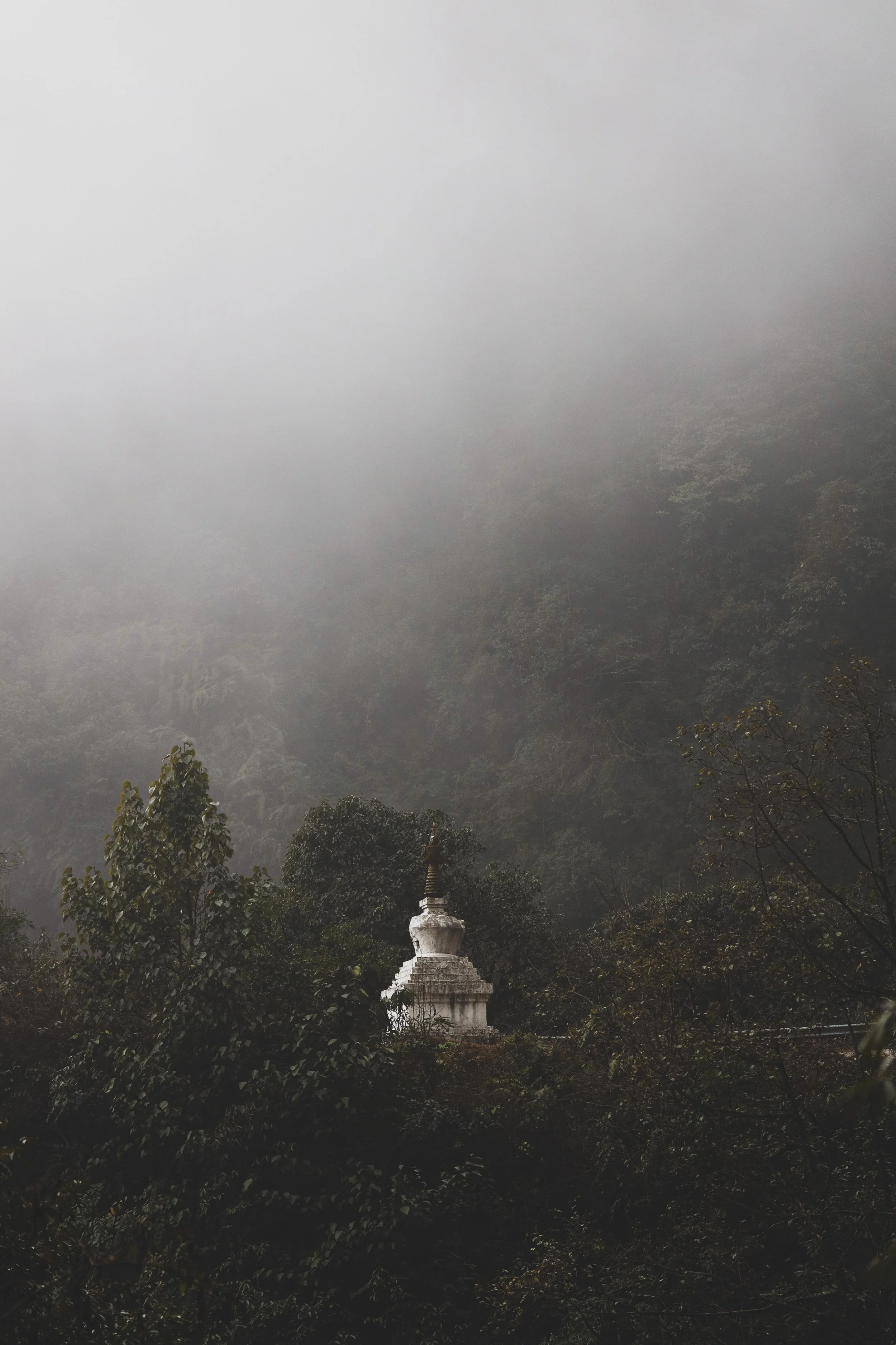 Bhutan, photograph 13