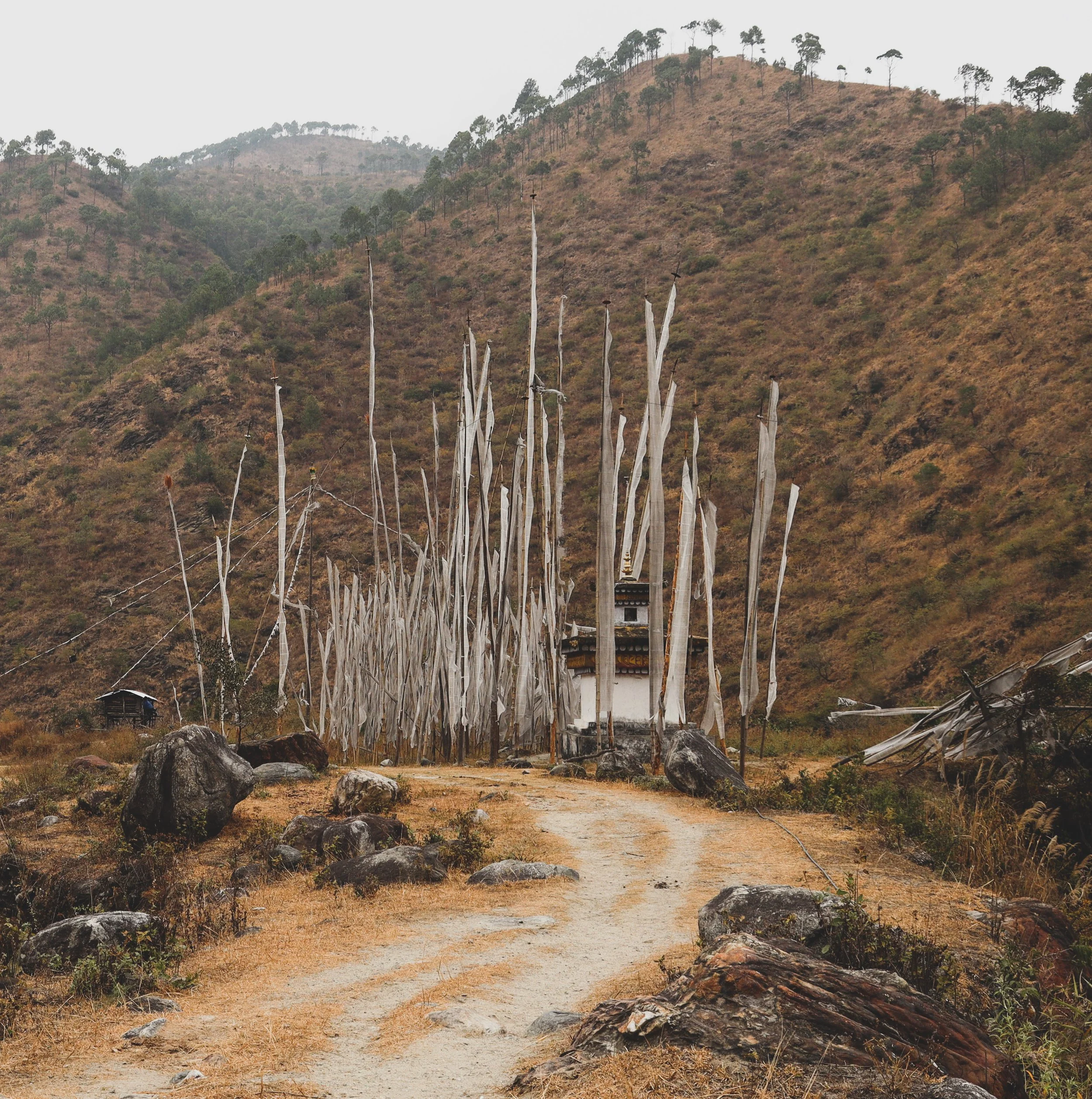 Bhutan, photograph 18