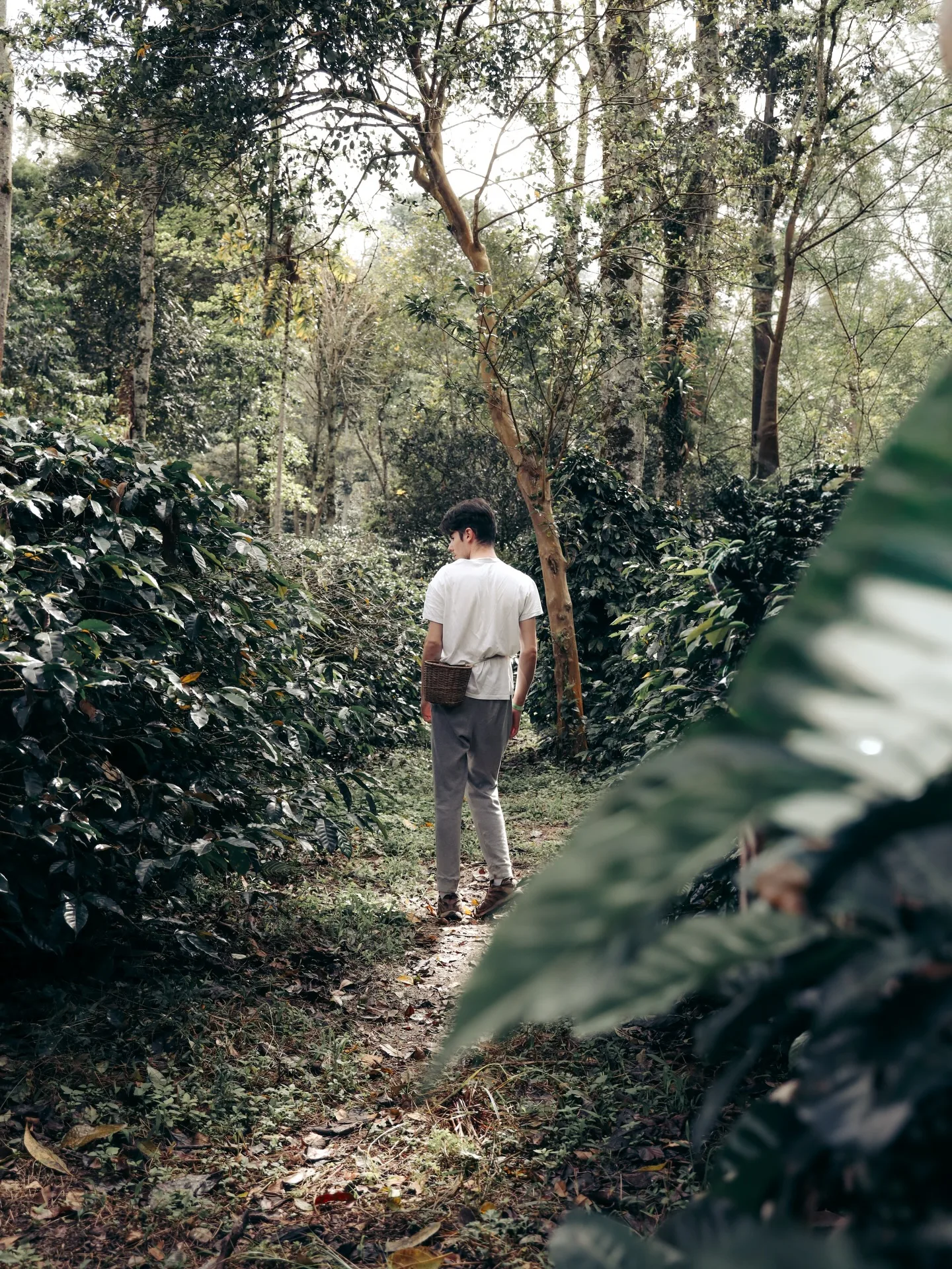 Colombia, photograph 11