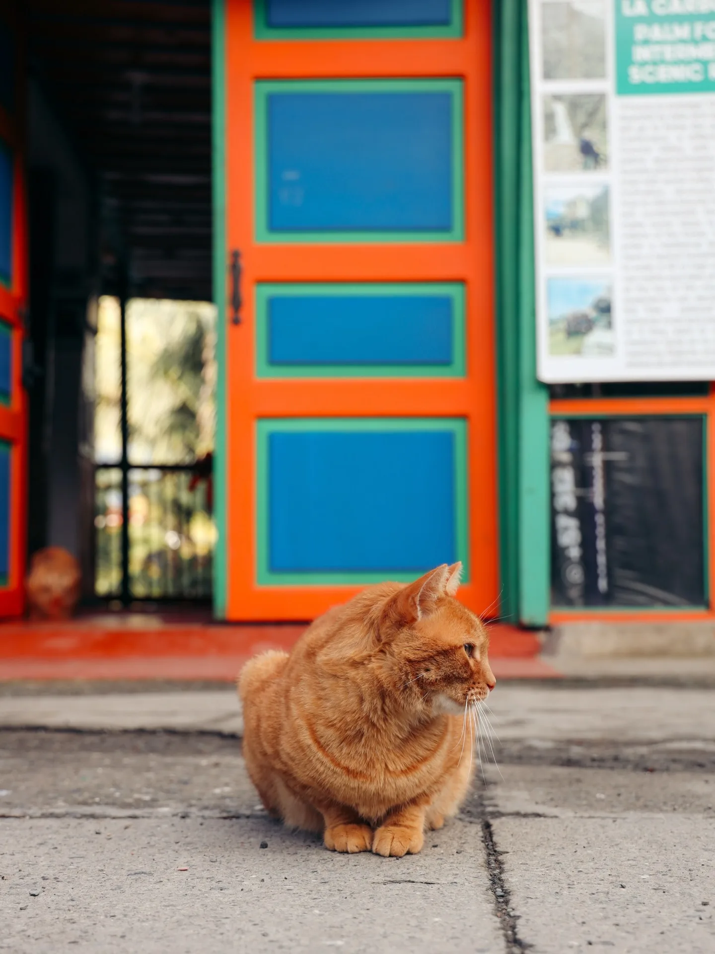 Colombia, photograph 14