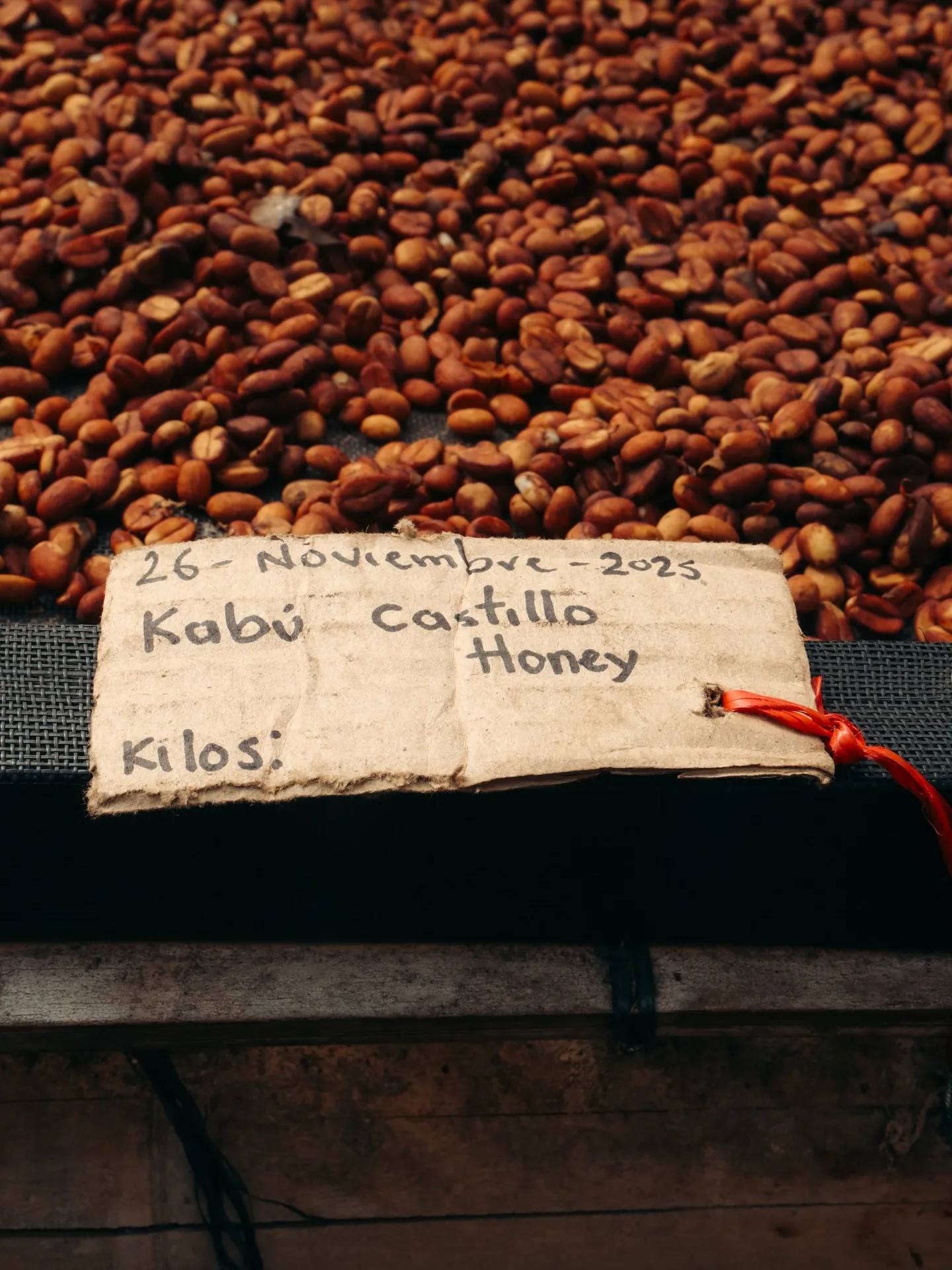 Colombia, photograph 25