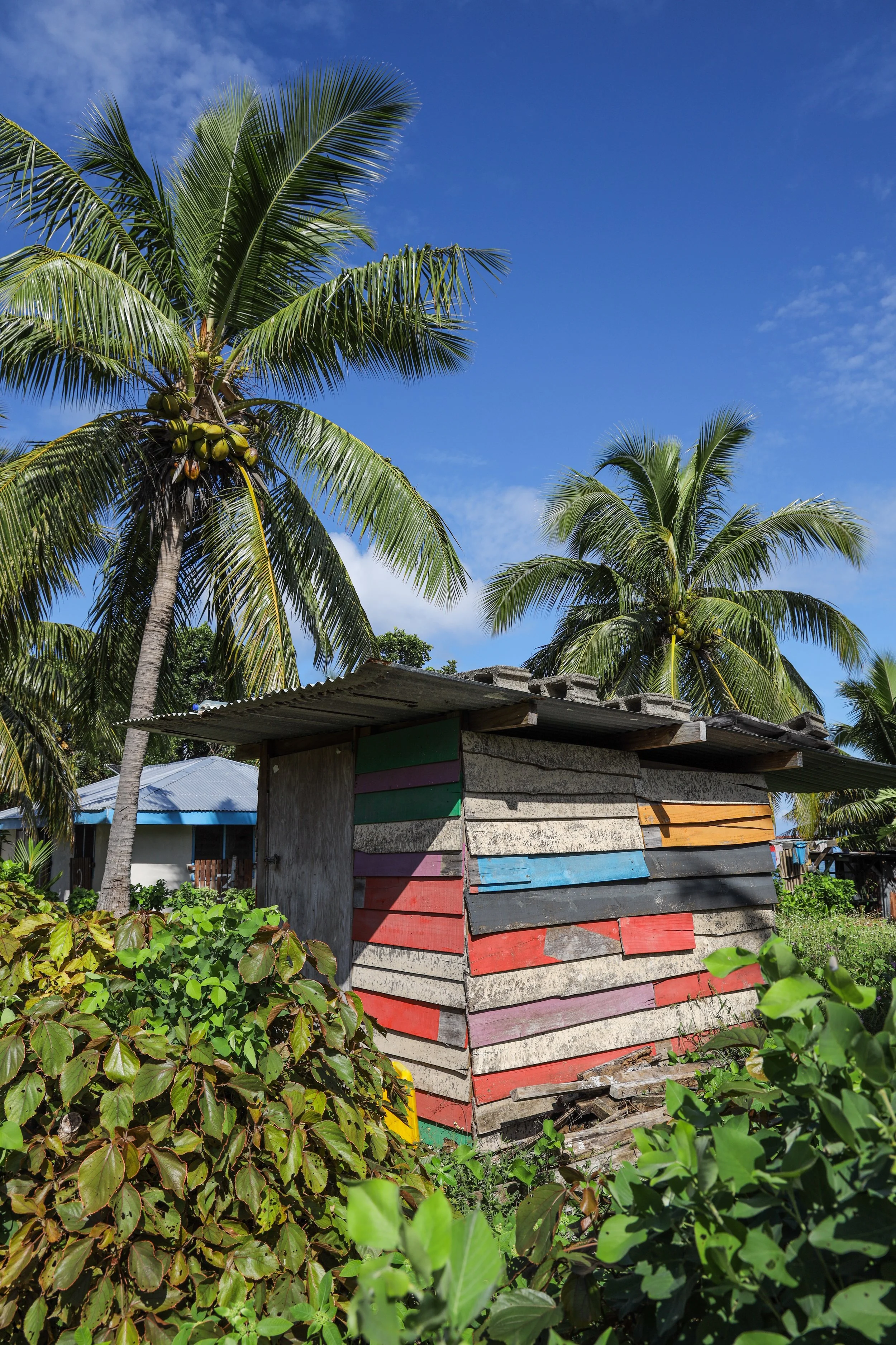 Fiji, photograph 3