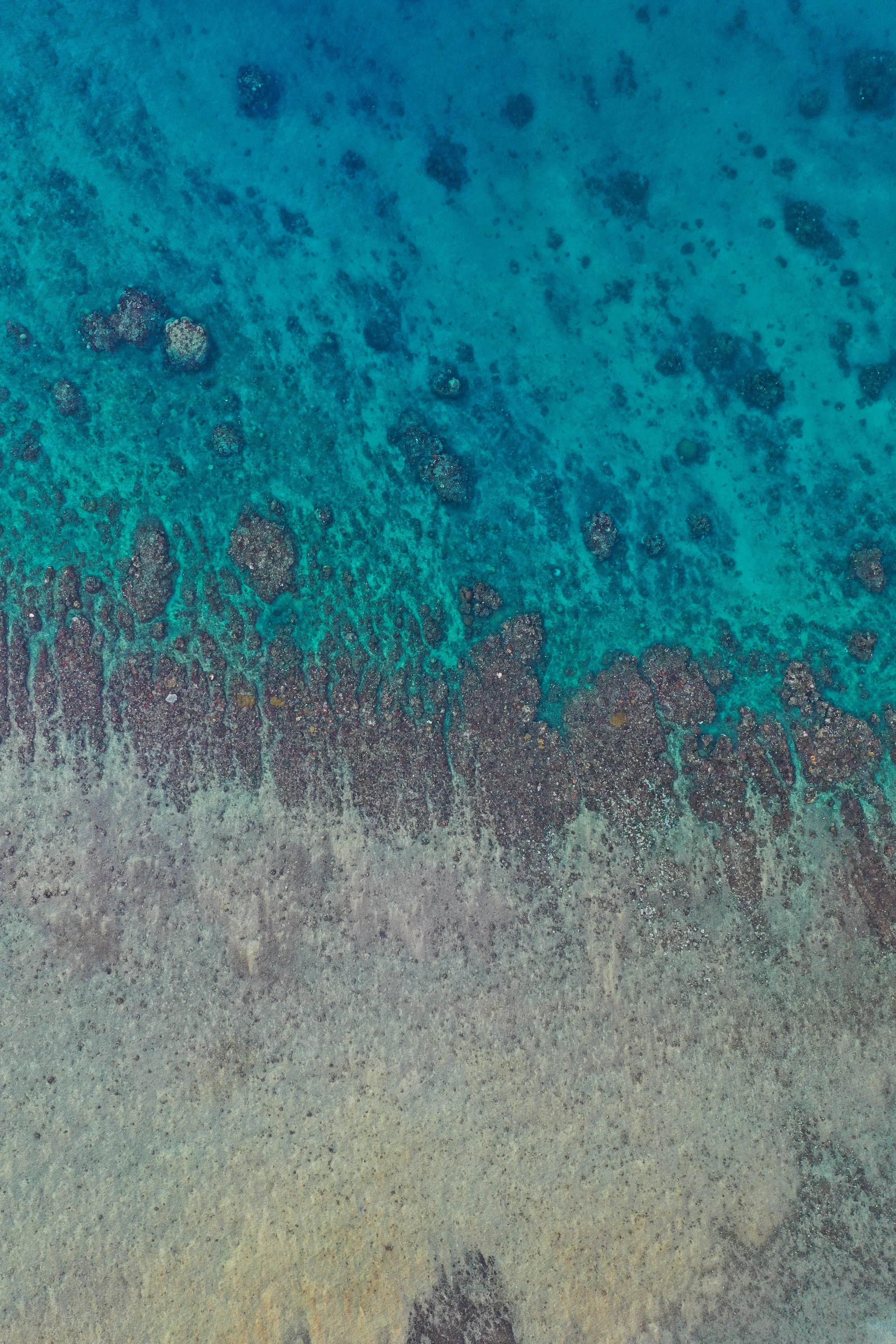 Fiji, photograph 13