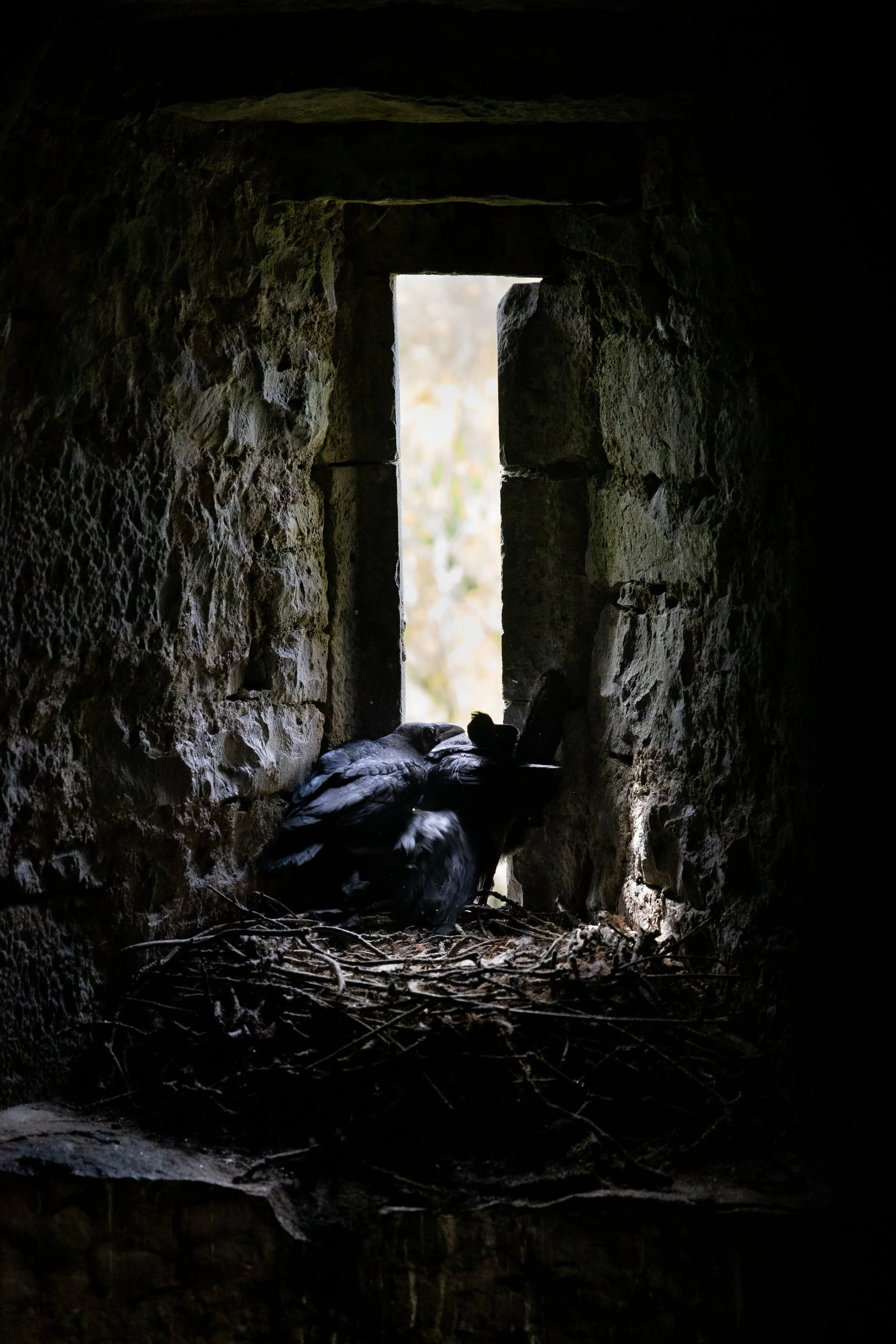Ireland, photograph 5