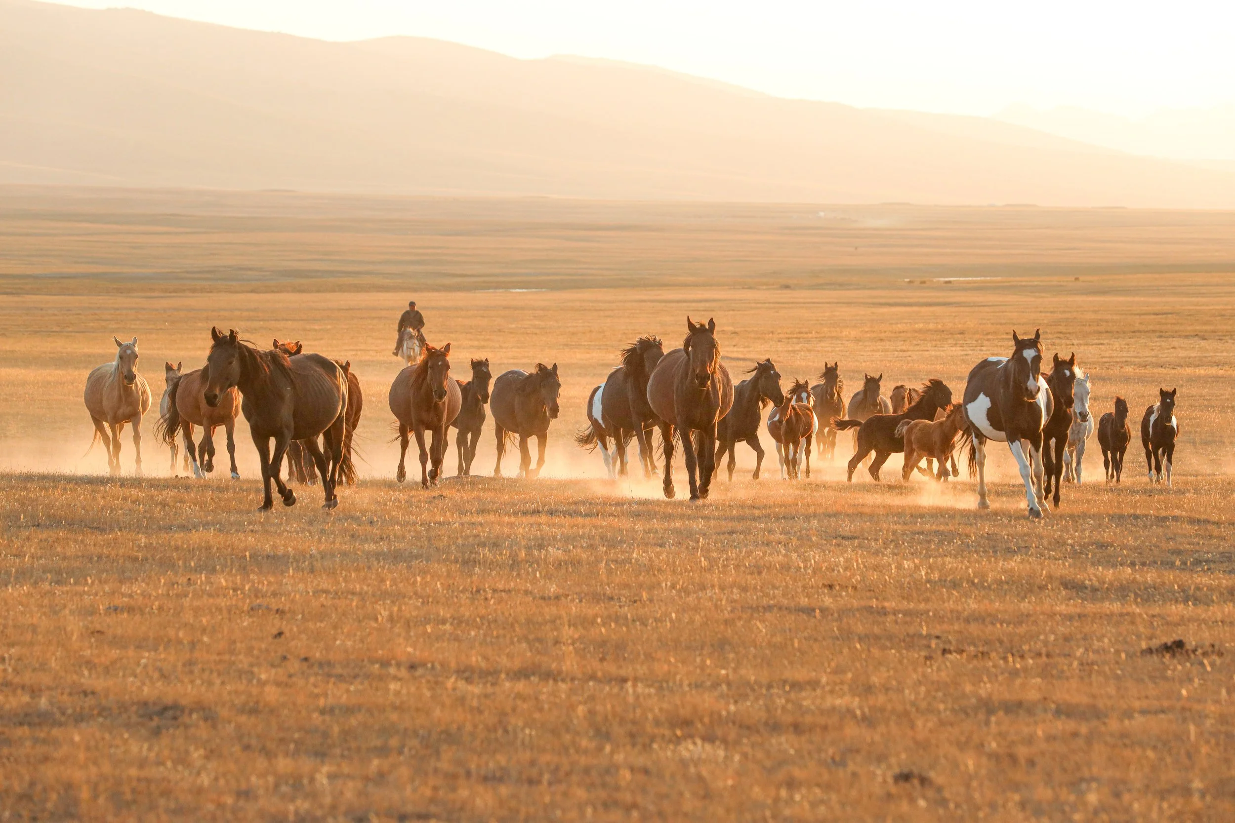 Kyrgyzstan, photograph 7