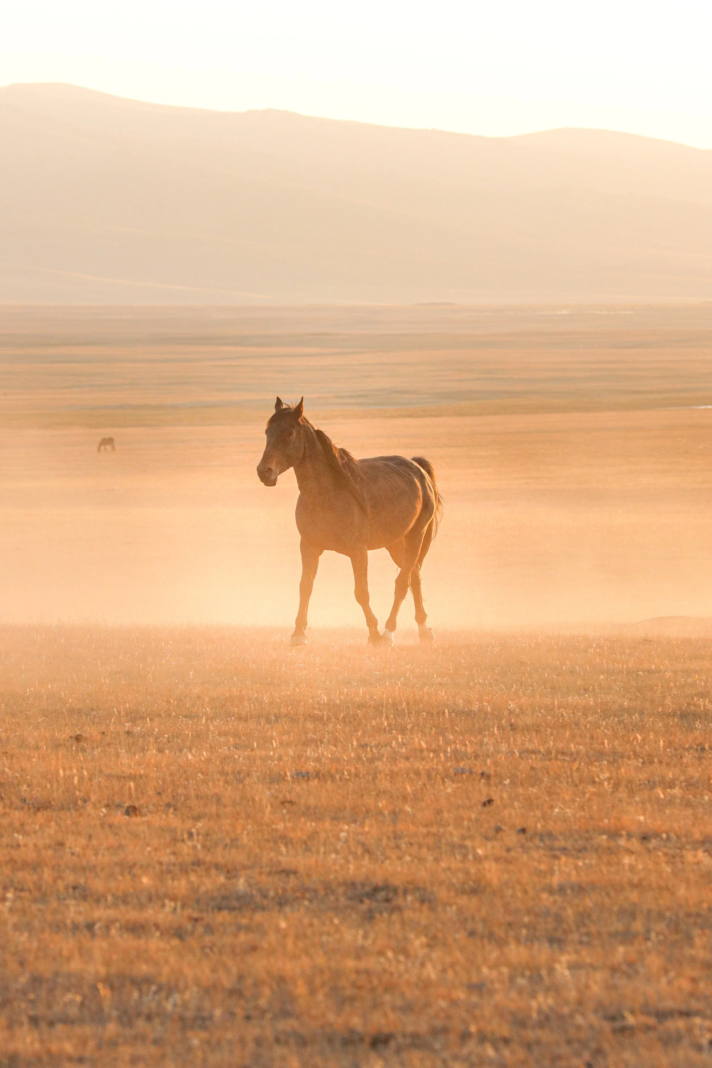 Kyrgyzstan, photograph 10