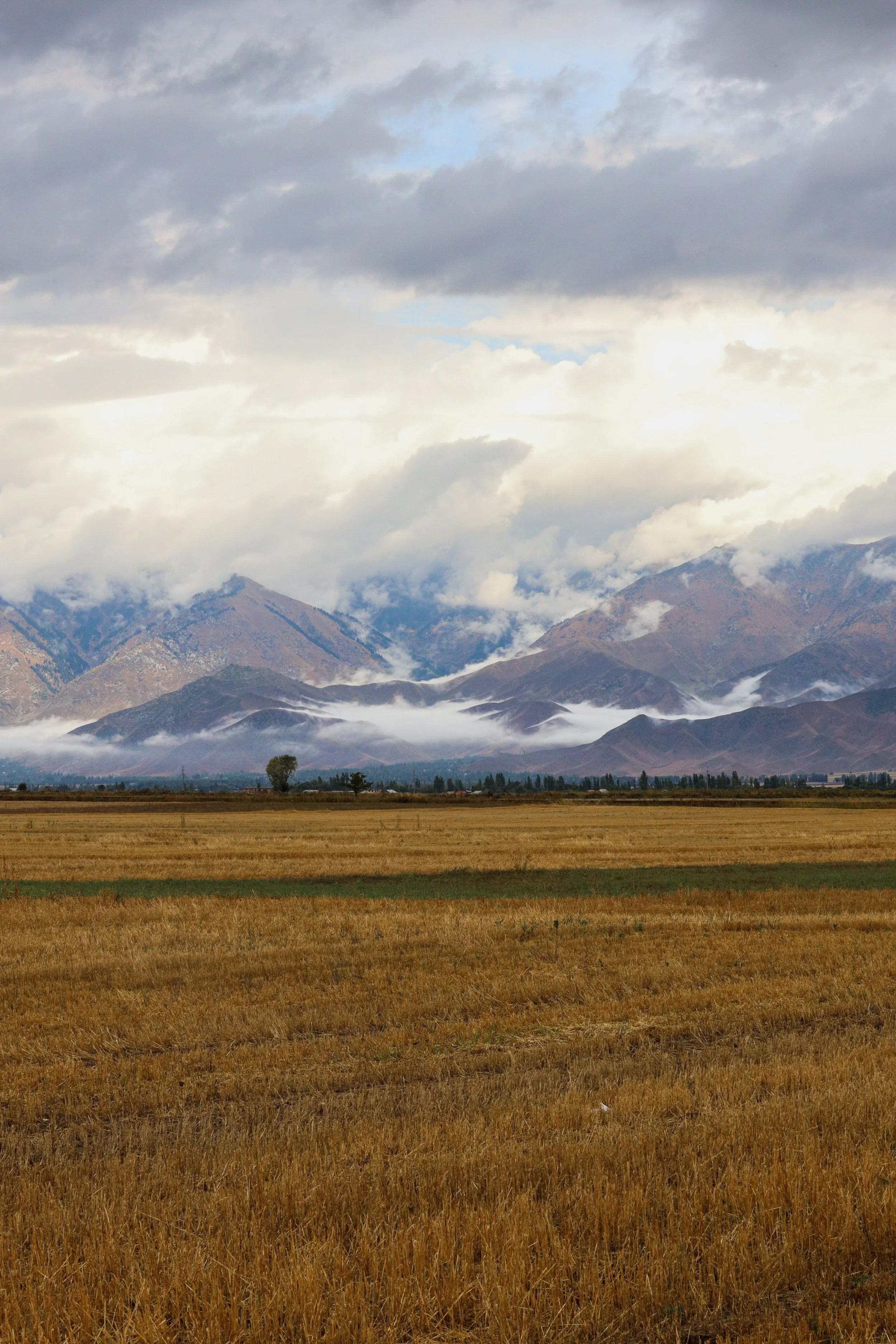 Kyrgyzstan, photograph 20