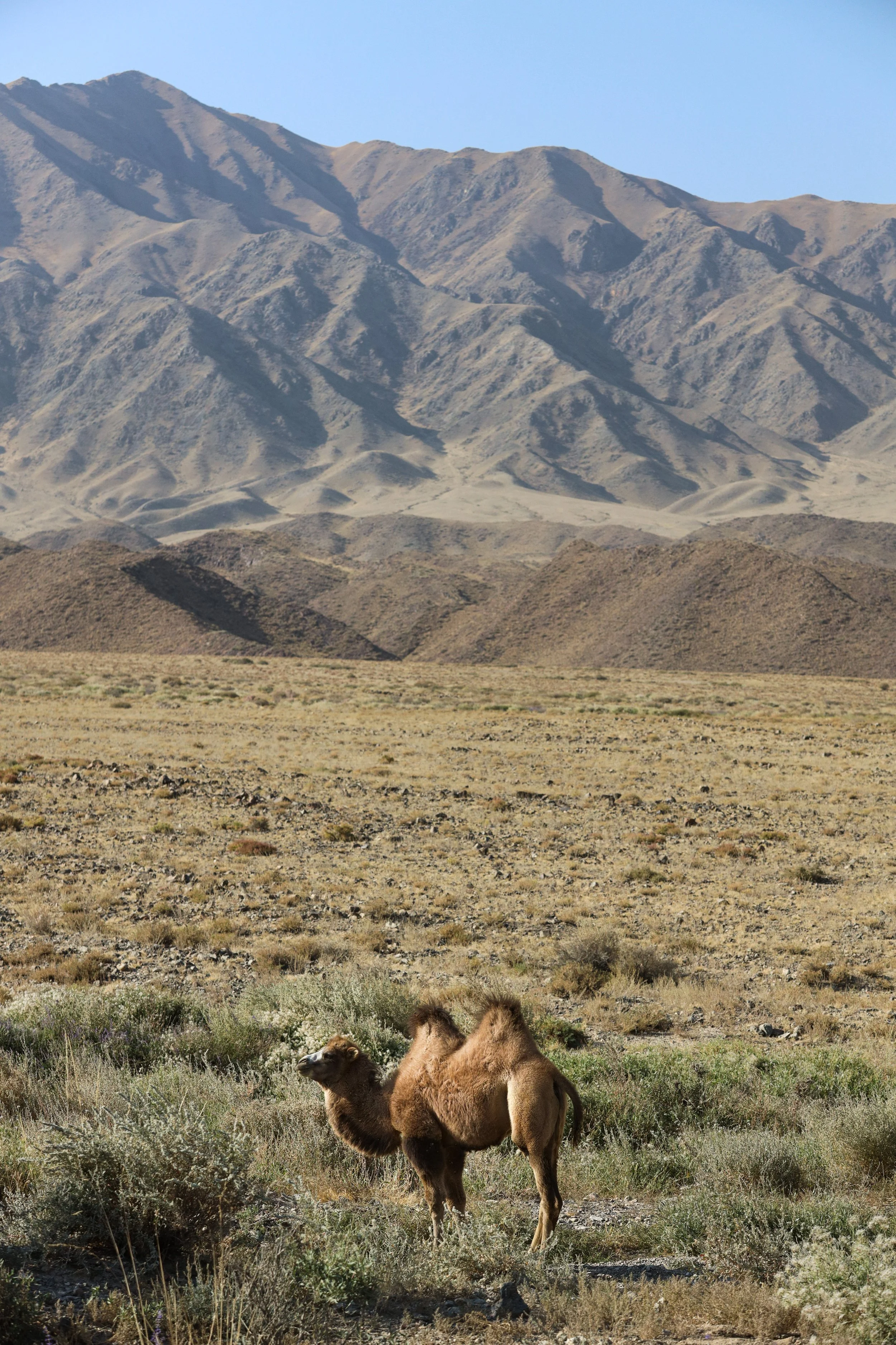 Kyrgyzstan, photograph 21