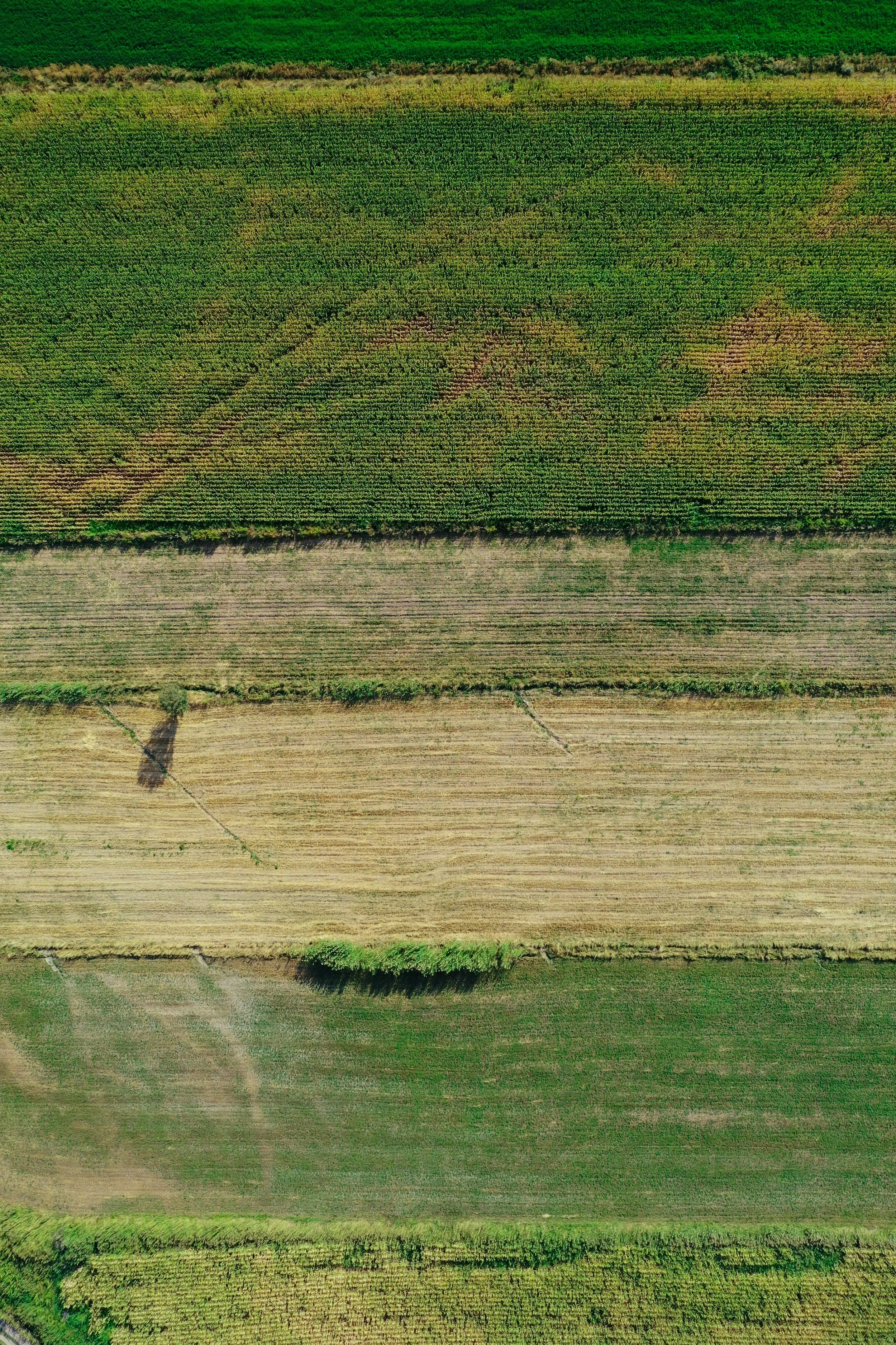 Kyrgyzstan, photograph 22