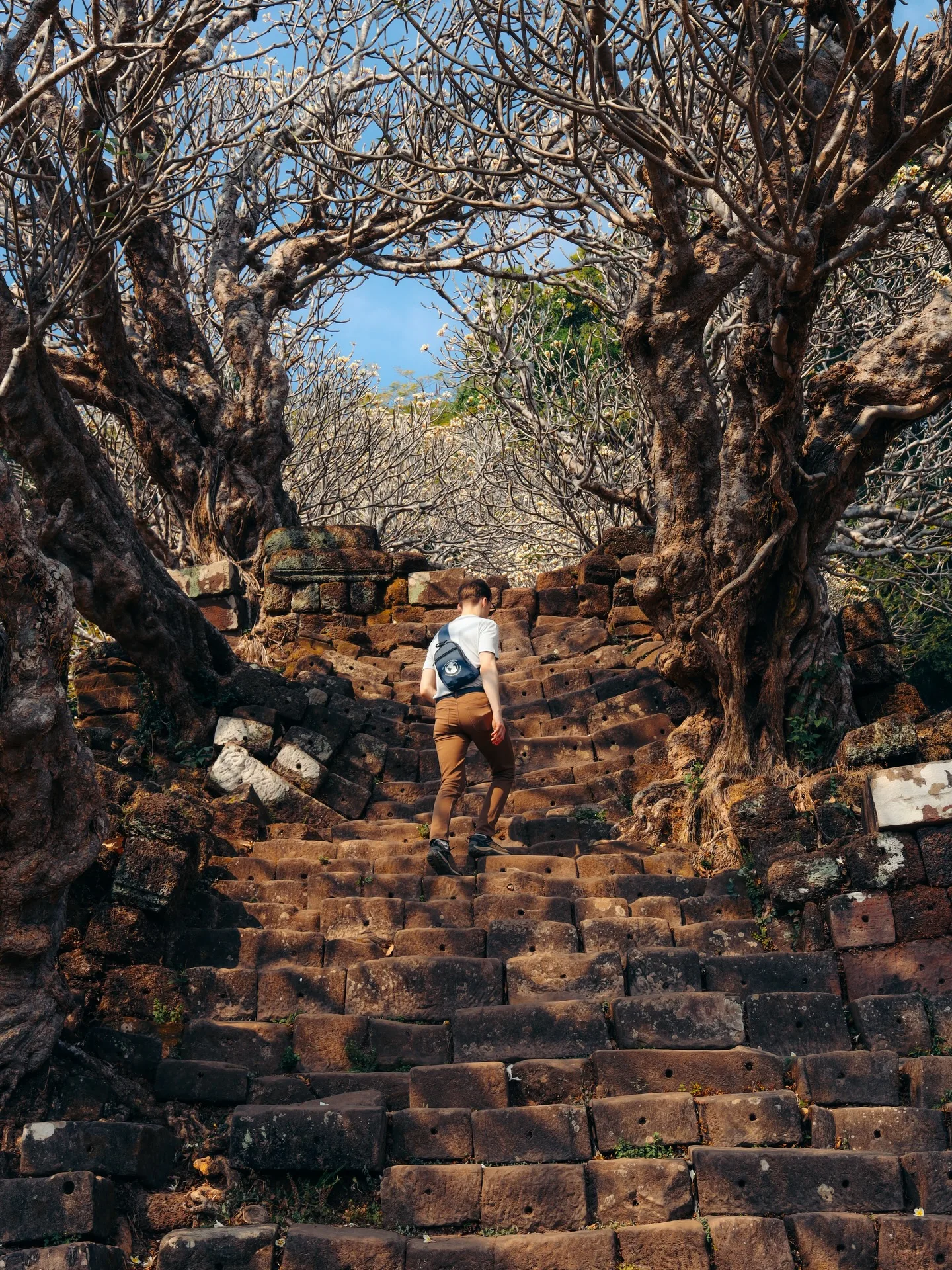 Laos, photograph 12