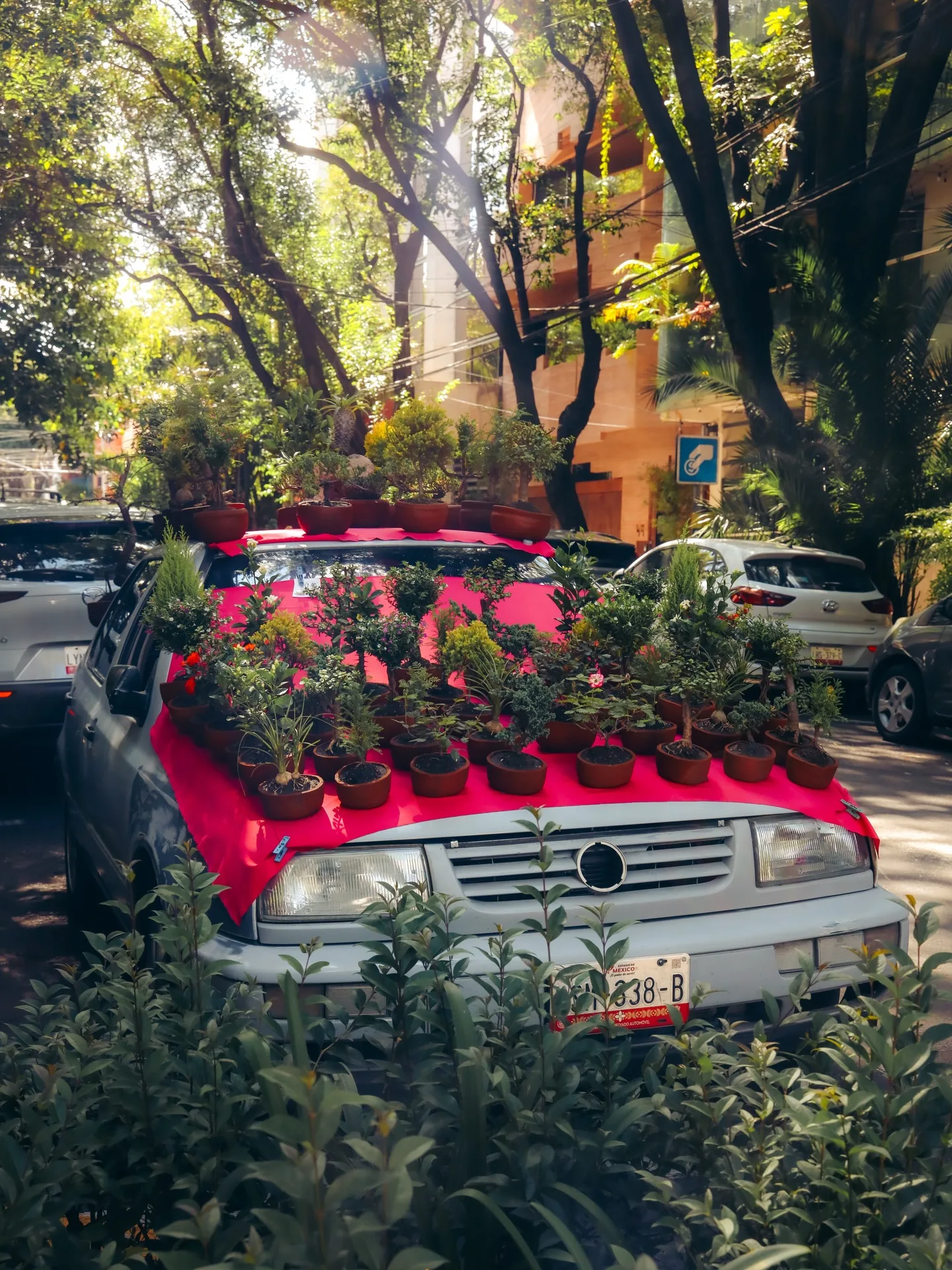 Mexico City, photograph 5