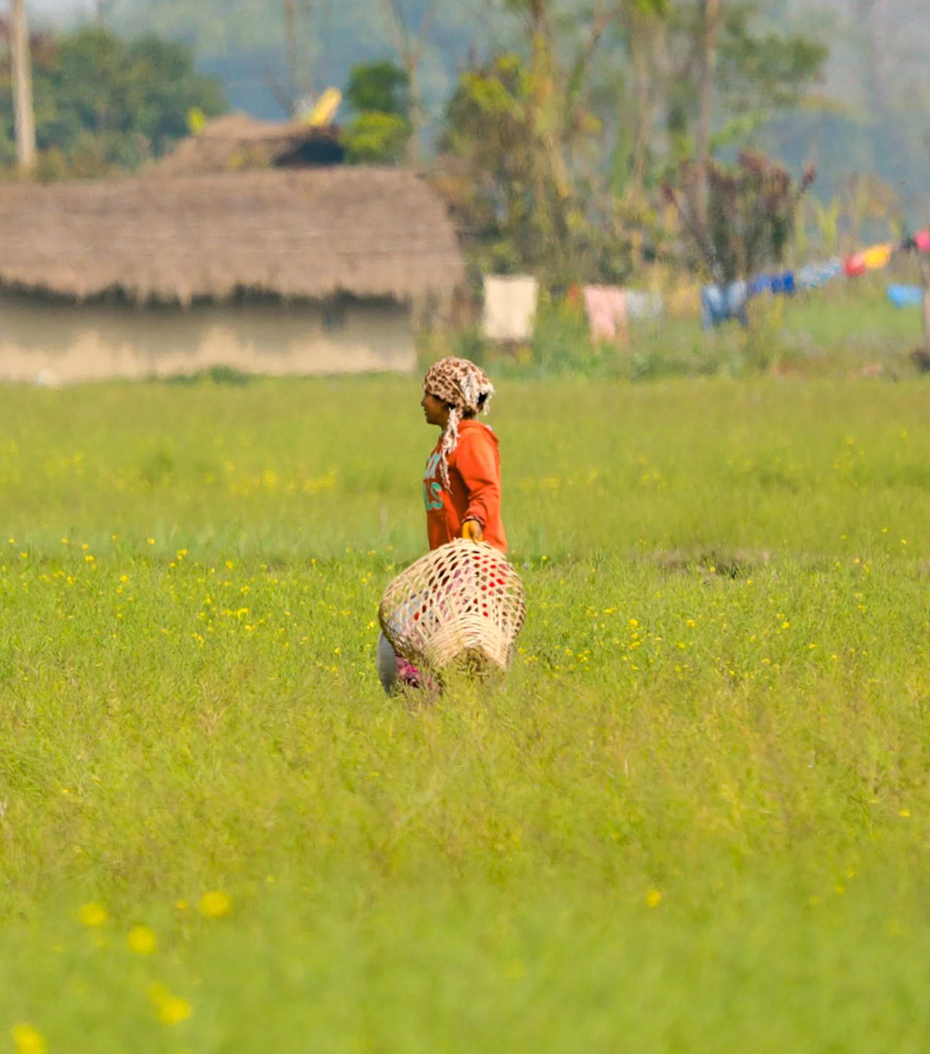 Nepal, photograph 11