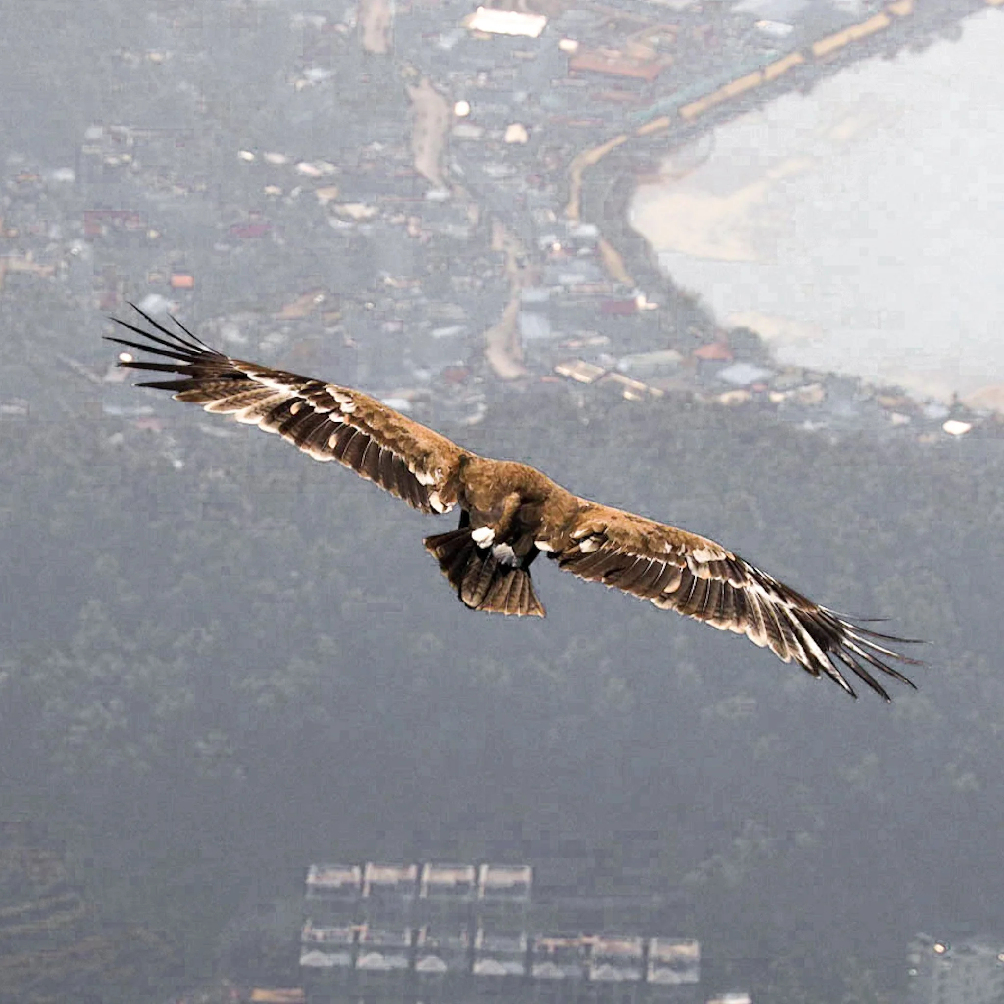 Nepal, photograph 19