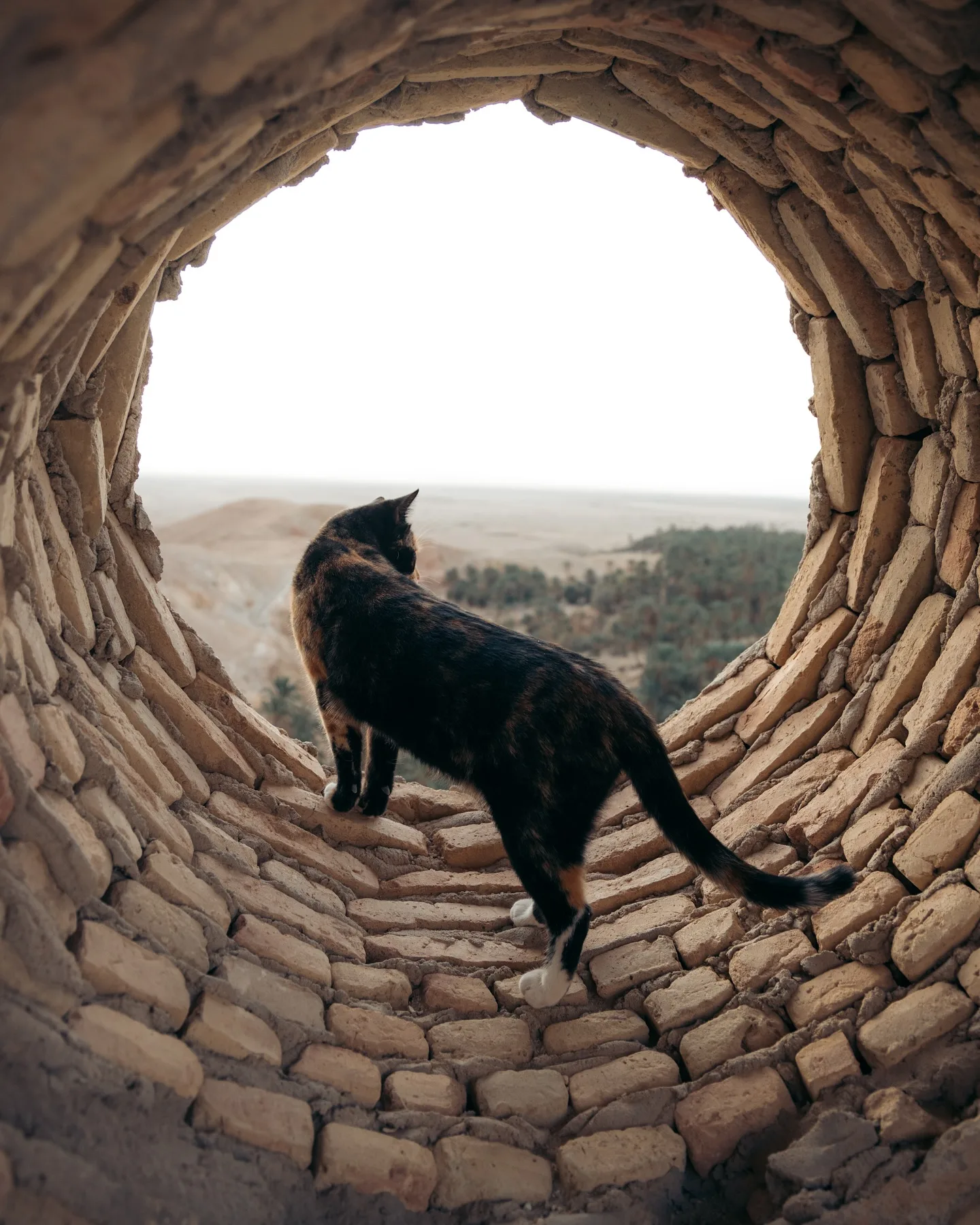 Tunisia, photograph 10