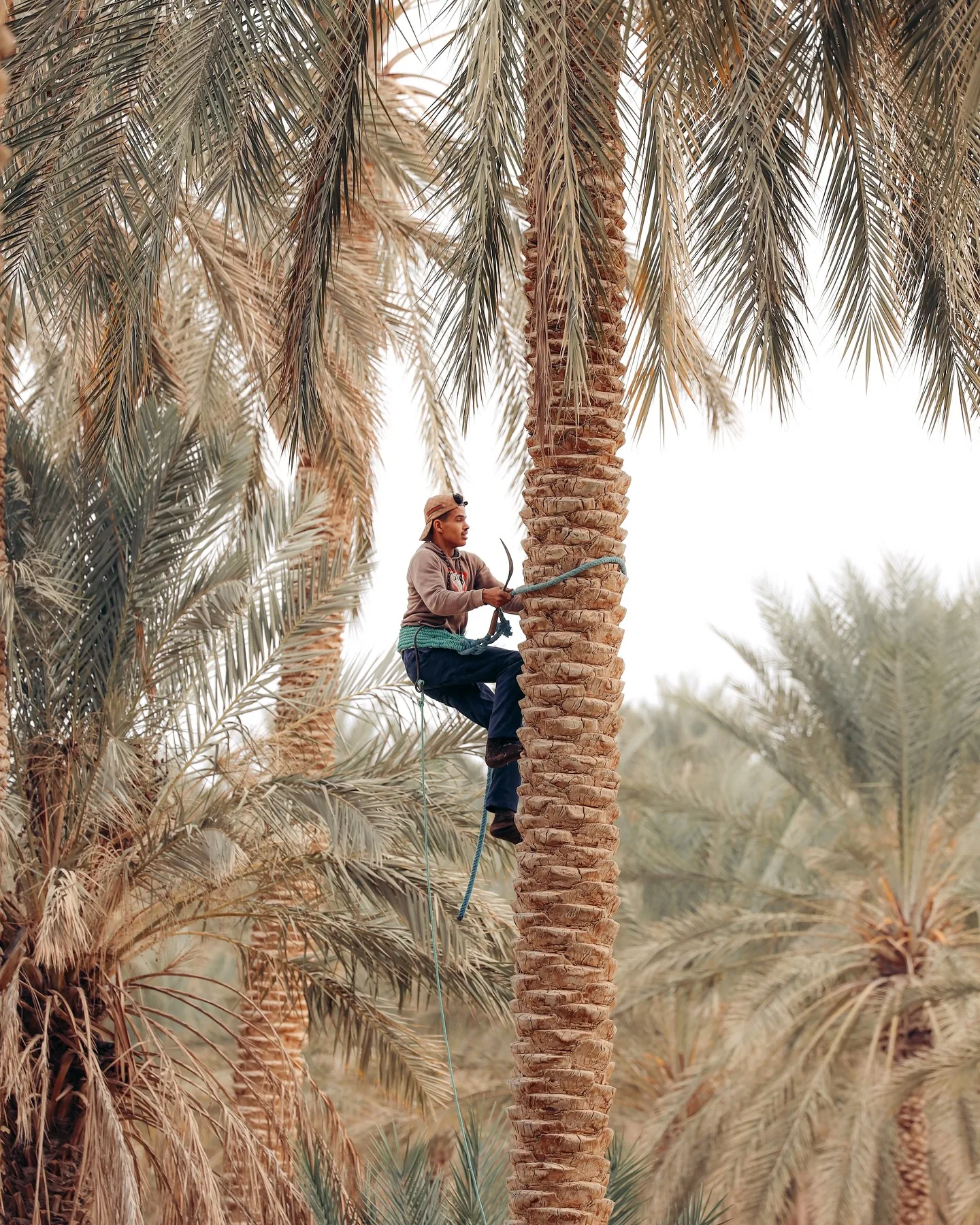 Tunisia, photograph 14