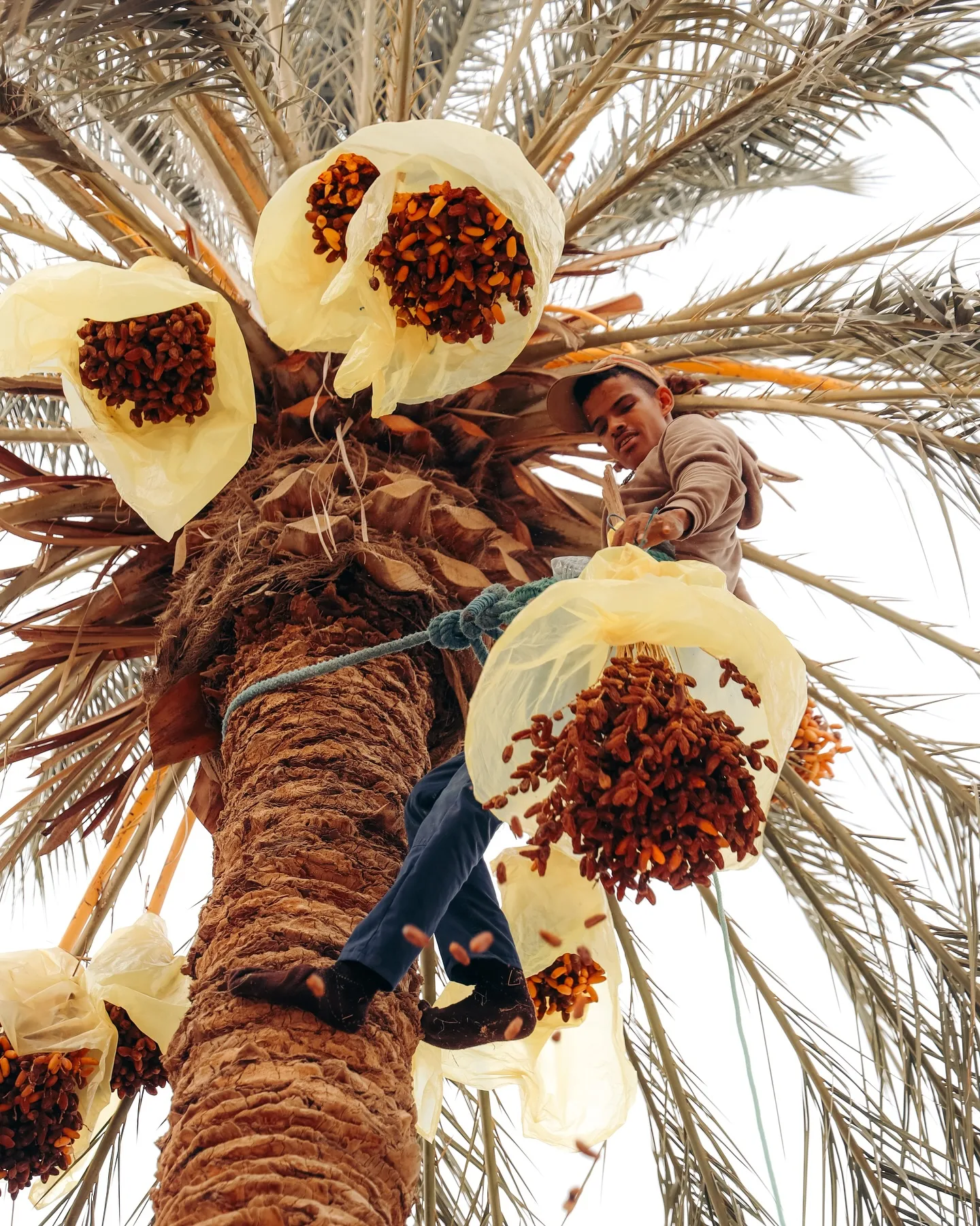 Tunisia, photograph 26