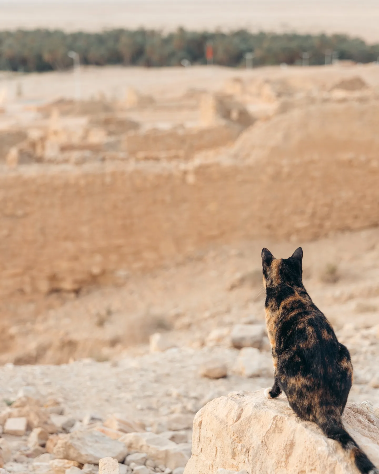 Tunisia, photograph 27
