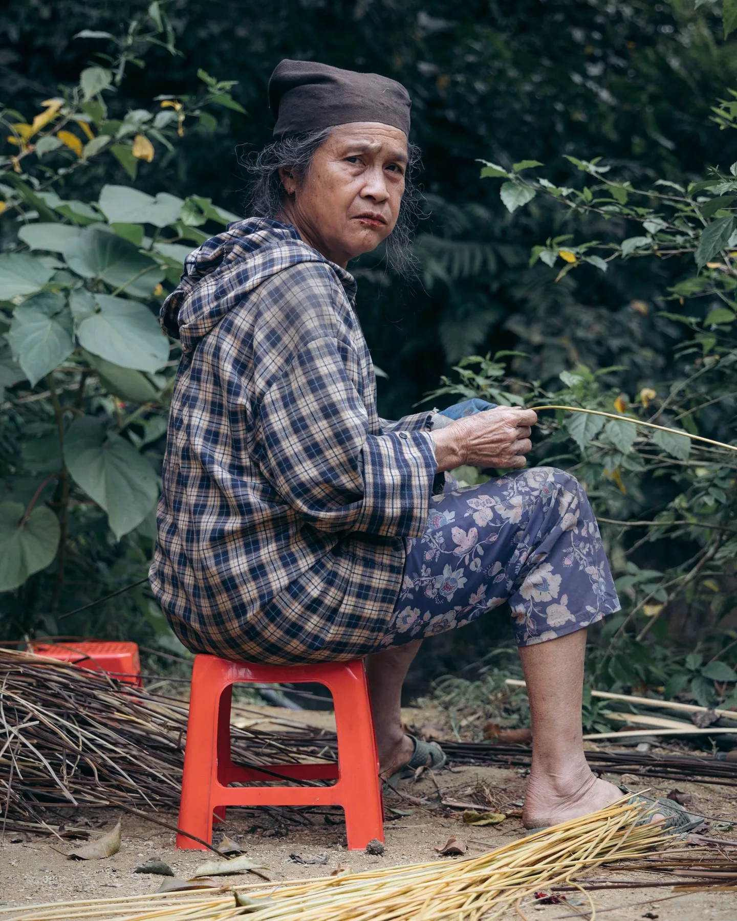 Vietnam, photograph 9