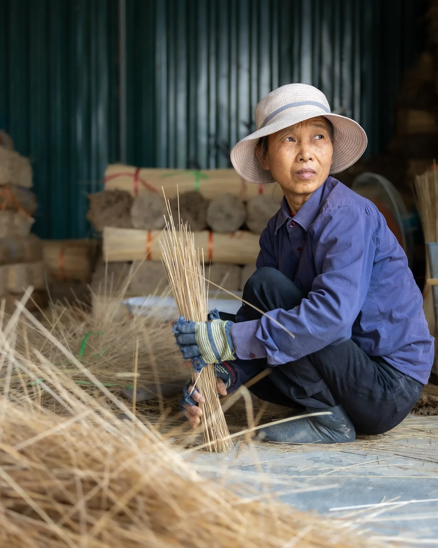 Vietnam, photograph 14