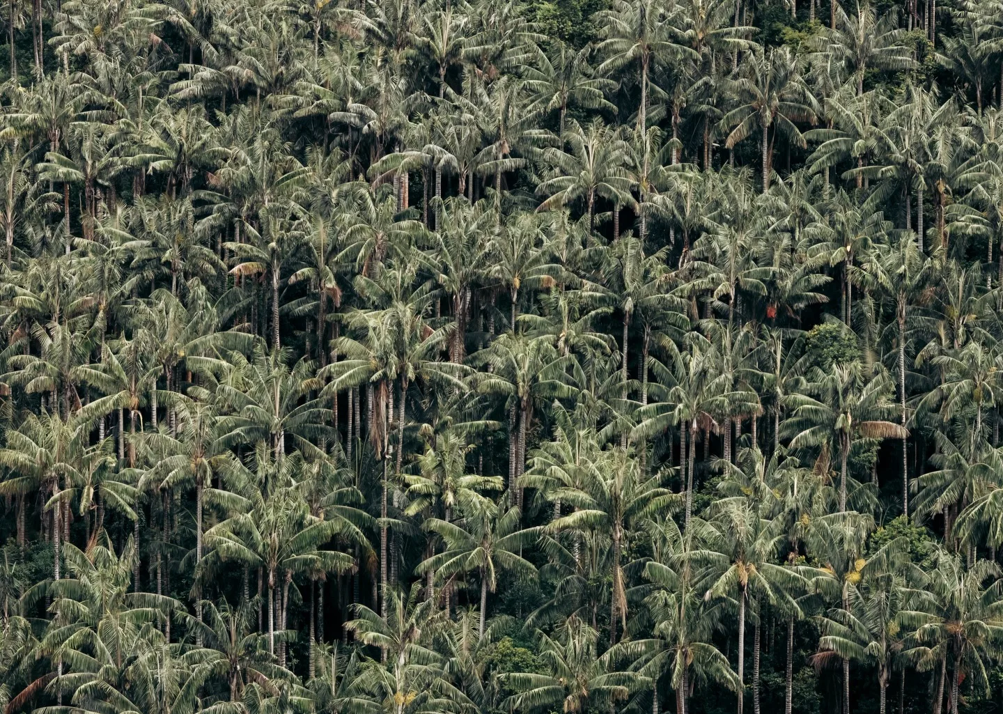 Colombia