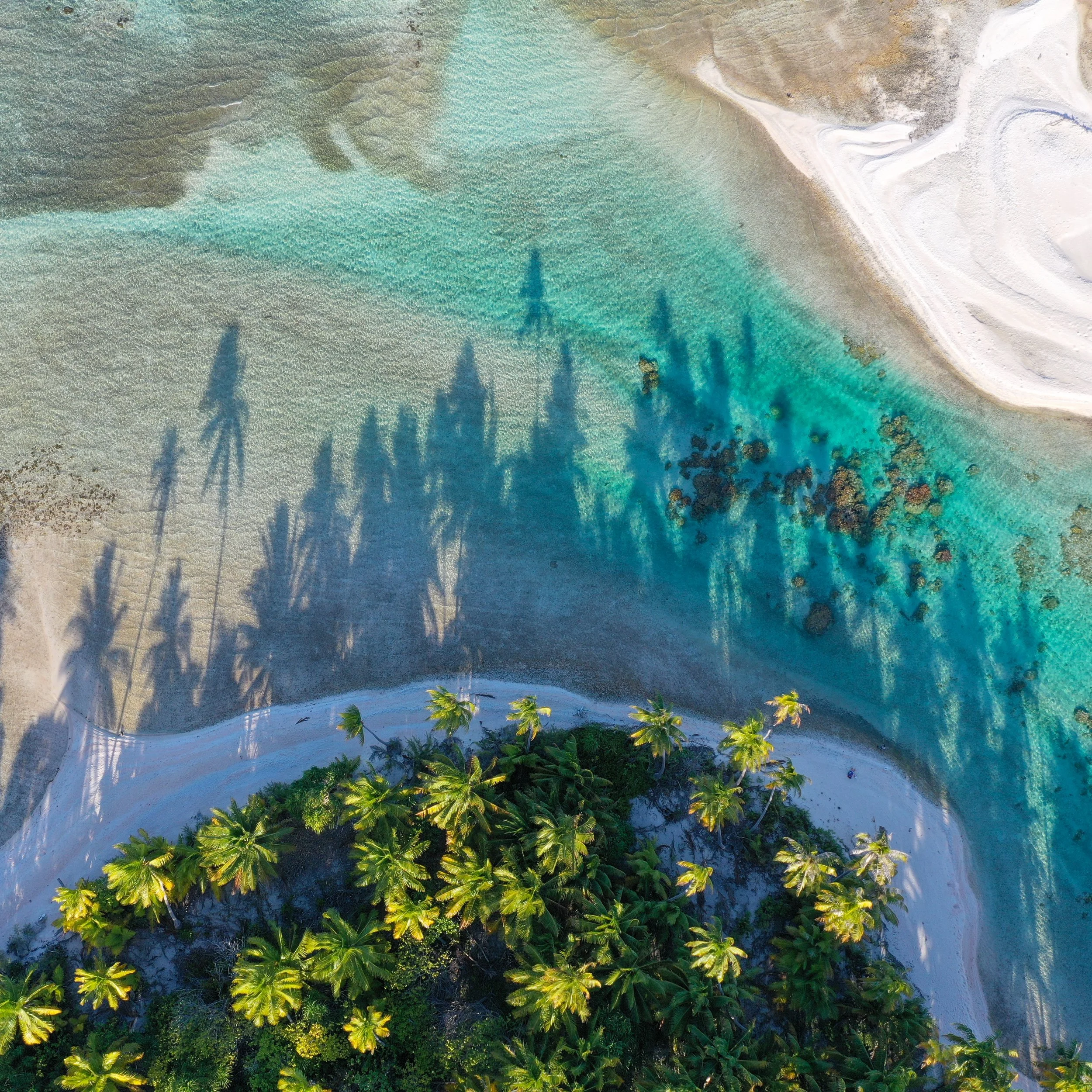 Tahitian Atolls & Island Life